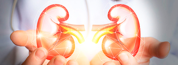 Nefróloga Victoria Maldonado